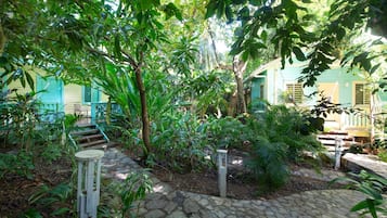 A garden with a stone pathway, lush greenery, and a building with blue shutters.