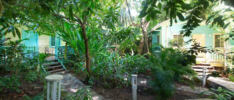 A garden with a stone pathway, lush greenery, and a building with blue shutters.