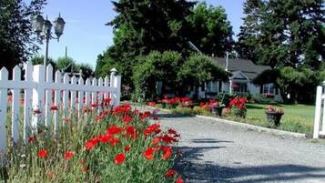 Un camino de grava que lleva a una cerca blanca de piquetes con flores rojas, rodeado de exuberante follaje y una casa al fondo.