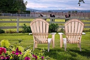 View from property - Cozy Rose Inn (Grandview)