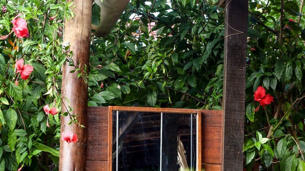 A rustic wooden structure with a built-in sink and mirror, surrounded by lush greenery and flowering plants. - Pousada Leão Marinho (Fernando de Noronha)