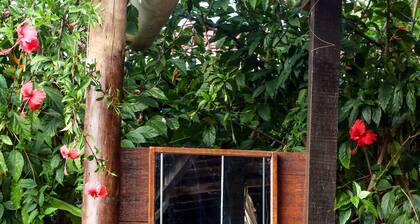 Pousada Leão Marinho