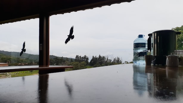 A view through a window with a water bottle and a kettle on a table. - Hostel La Suerte (Monteverde)
