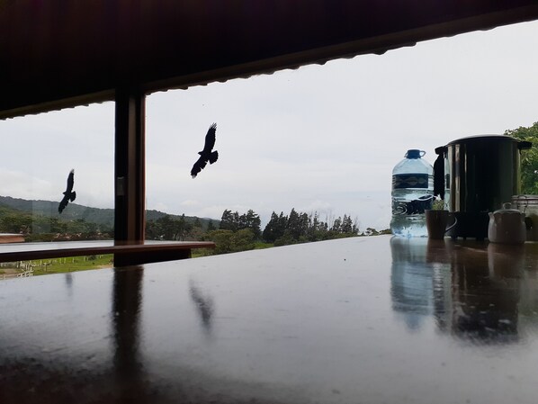 Kopi dan/atau alat penyeduh kopi