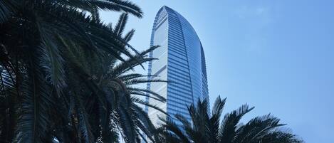 A tall, curved glass building with a modern design, surrounded by palm trees.
