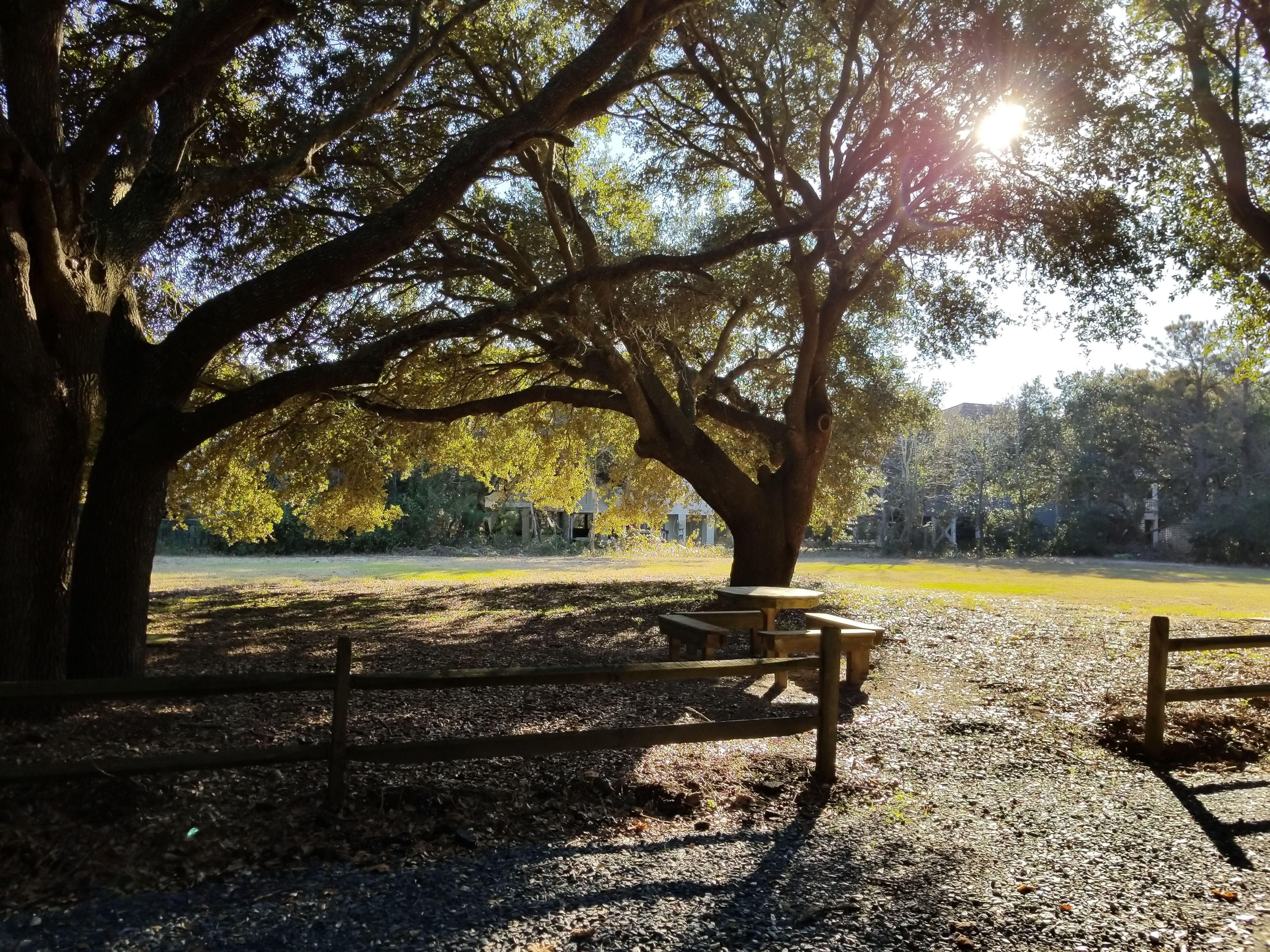 Un parc avec une table de pique-nique et des bancs, entouré d’arbres et bordé d’un sentier de gravier.