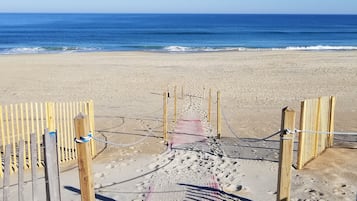 On the beach, fishing