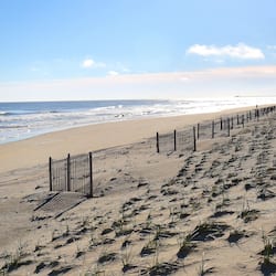 Ubicación a pie de playa y pesca