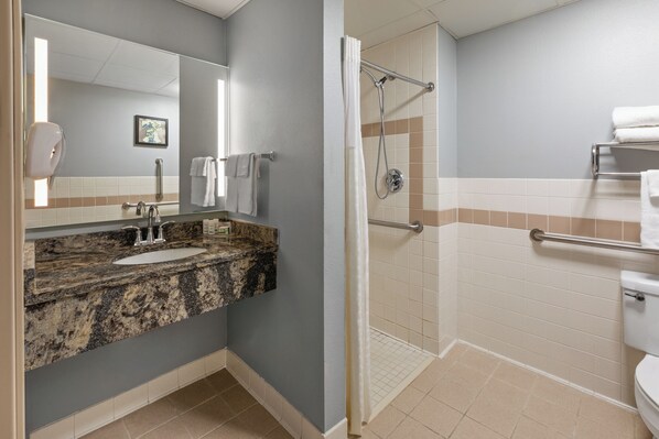 Une salle de bain avec un lavabo sur un plan de toilette en granit, une douche équipée d’une barre d’appui et des toilettes.