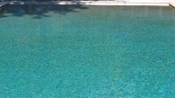 A clear, rectangular swimming pool with a tiled edge and a shadow of a tree on the surface.