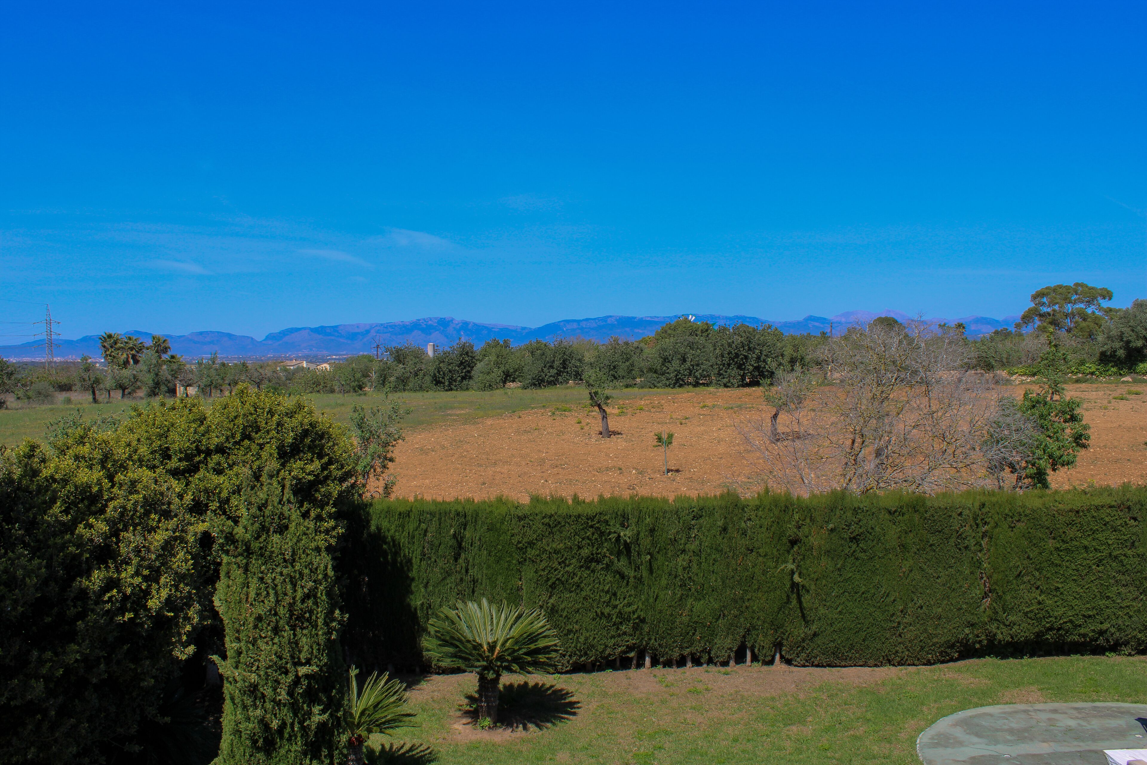 A landscape with a clear sky, a field, and distant mountains.