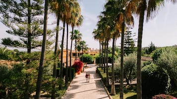 Giardino