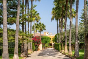 Property grounds - Son Molí Country House (Palma de Mallorca)