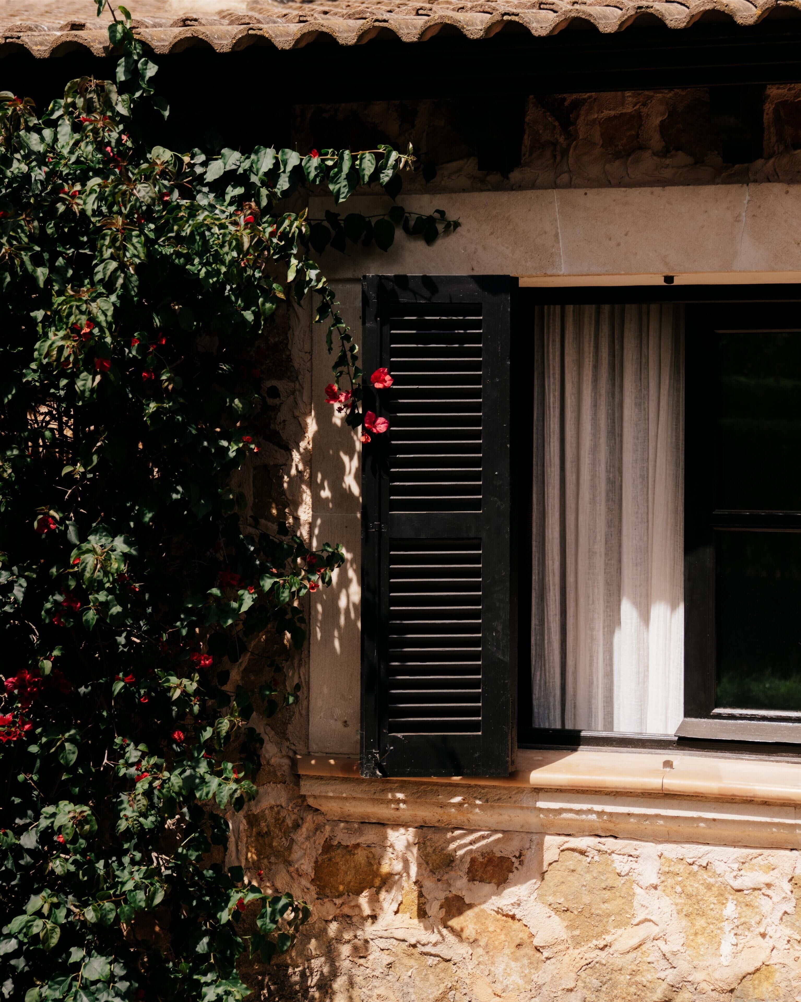 1 bedroom, egyptian cotton sheets, premium bedding, down duvets