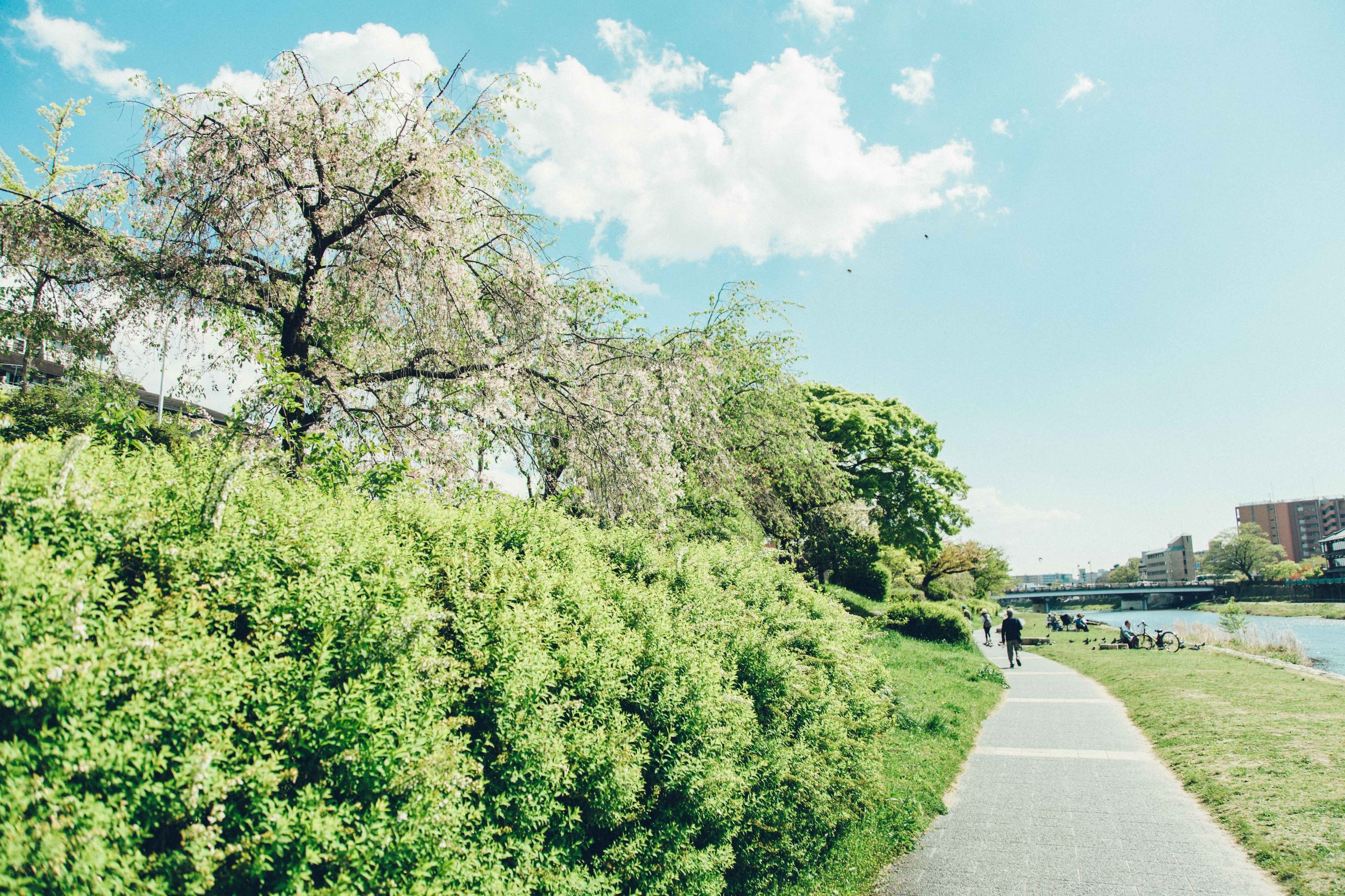 Foto - Len Kyoto Kawaramachi