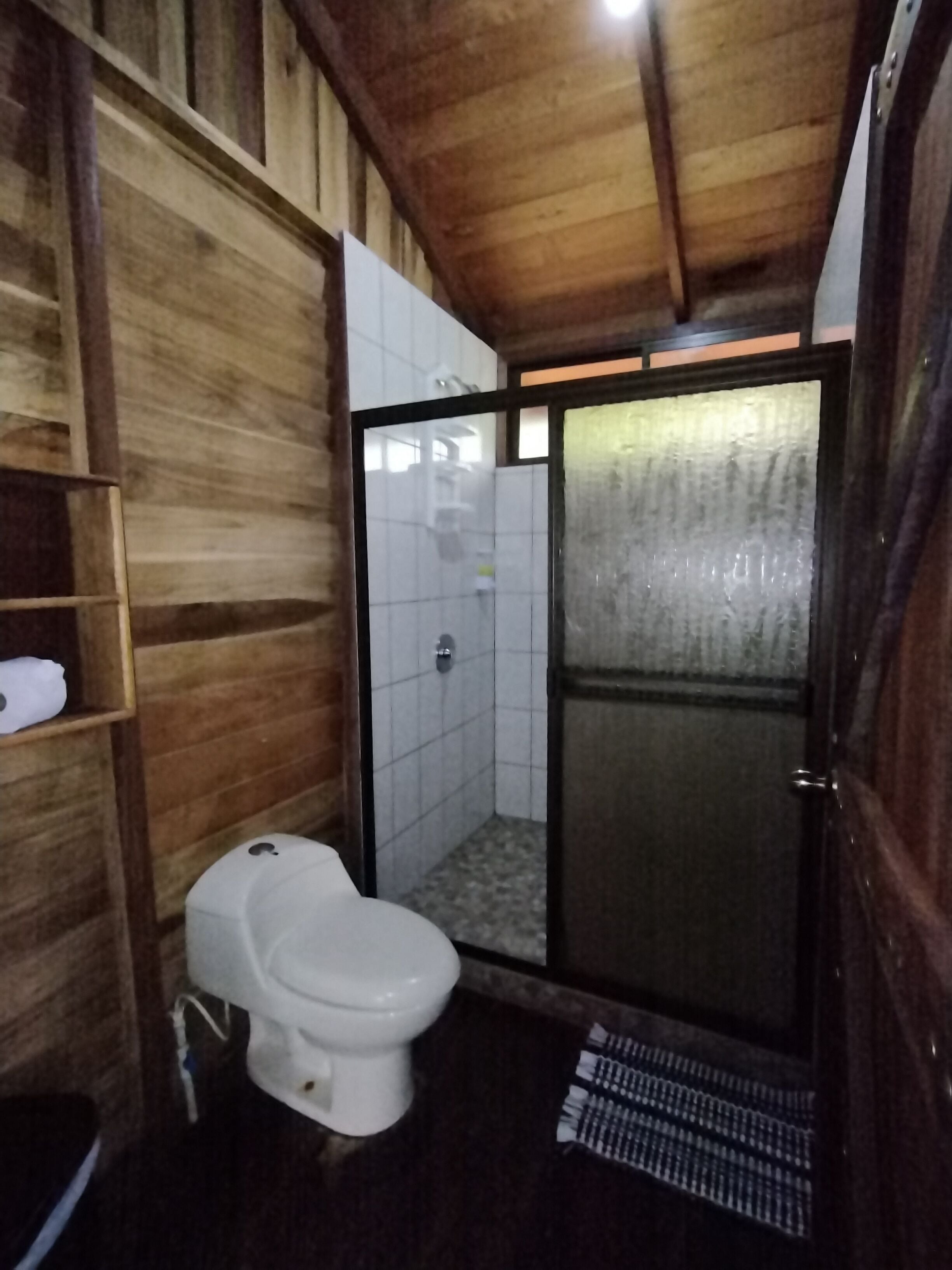 A compact bathroom with a toilet, a shower area, and a wooden wall.