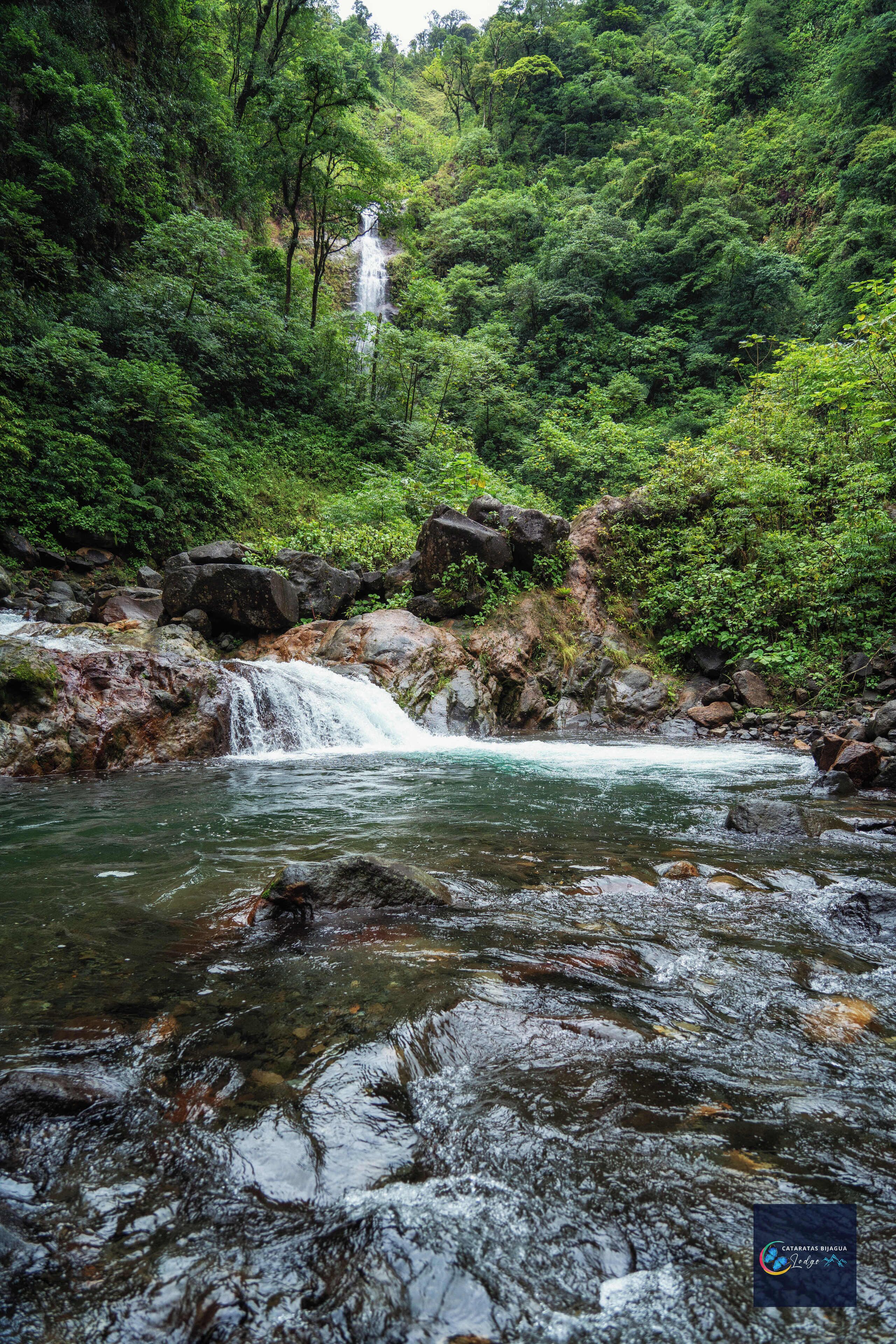 Paisaje natural con cascada, abundante vegetación y terreno rocoso.
