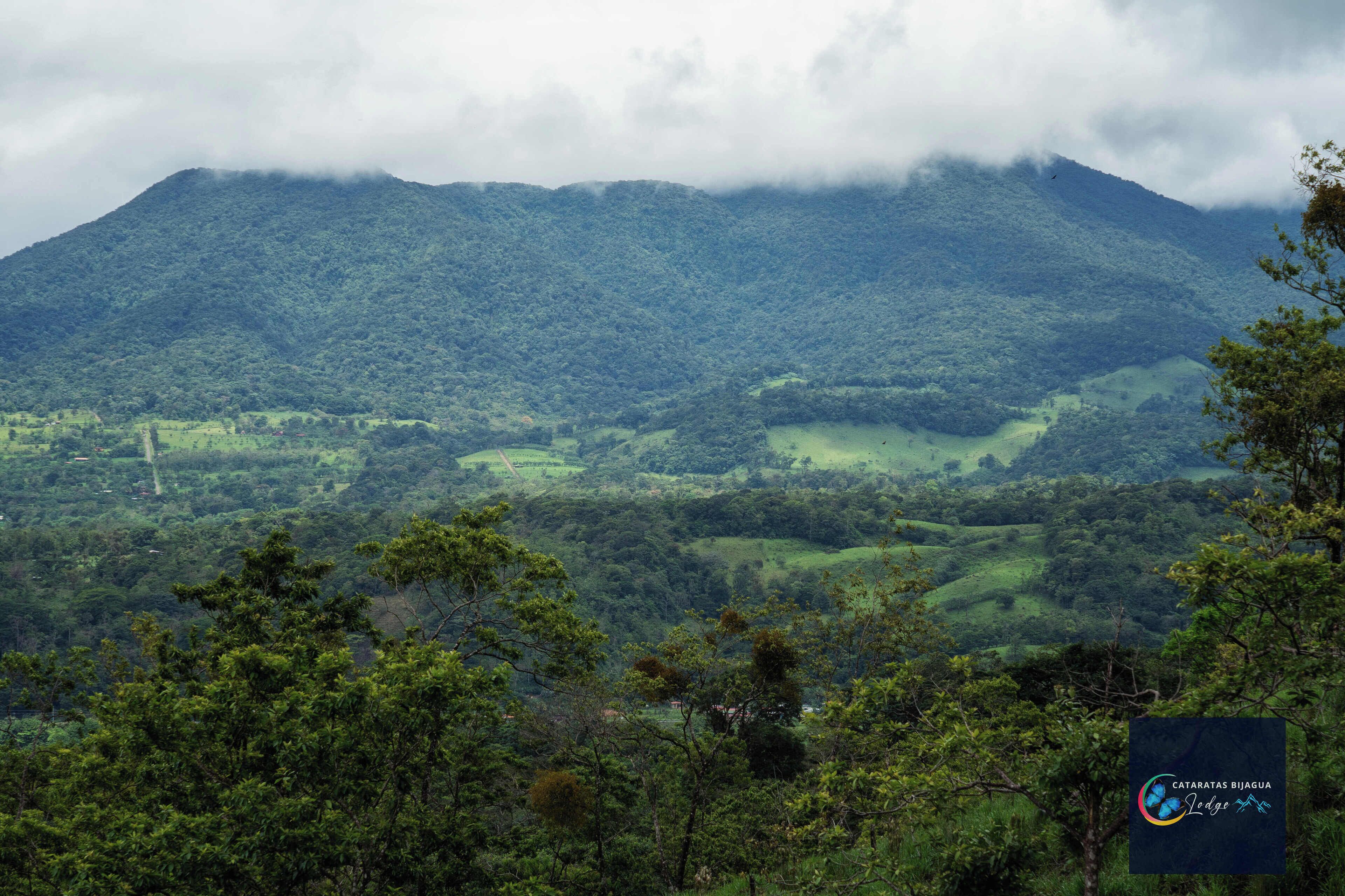 Un paisaje verde exuberante con una montaña al fondo, follaje denso en primer plano y un logotipo en la esquina inferior derecha.