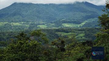 Un paisaje verde exuberante con una montaña al fondo, follaje denso en primer plano y un logotipo en la esquina inferior derecha.
