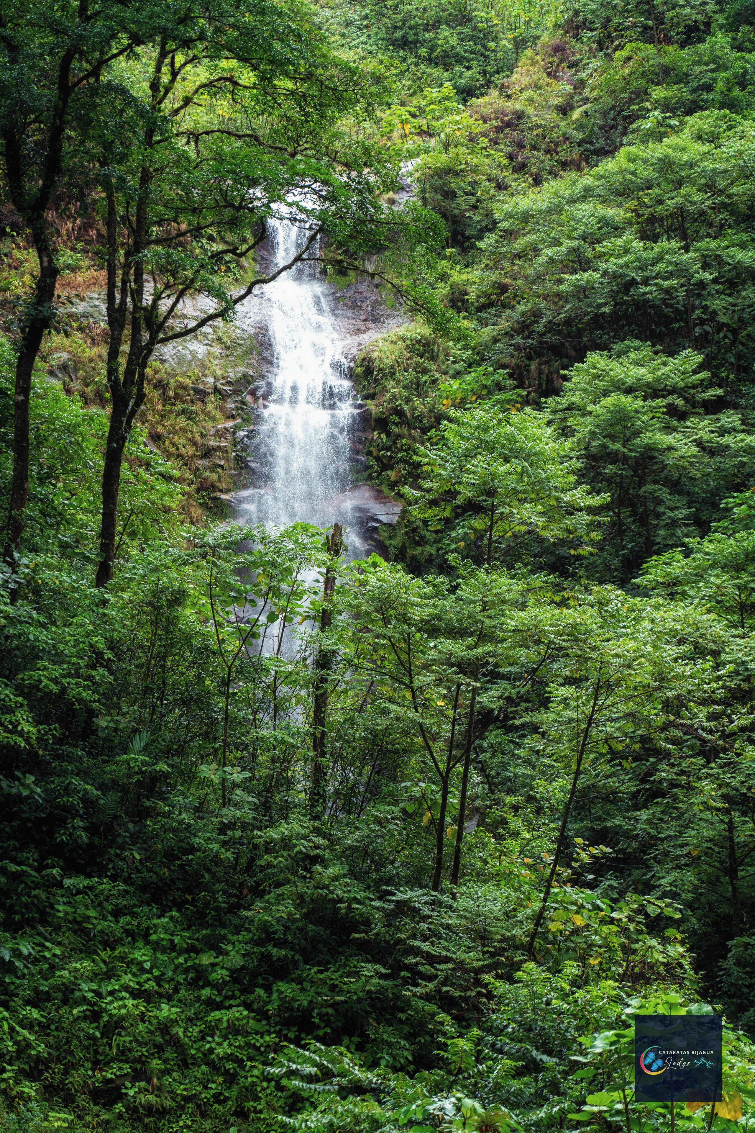 Caminatas