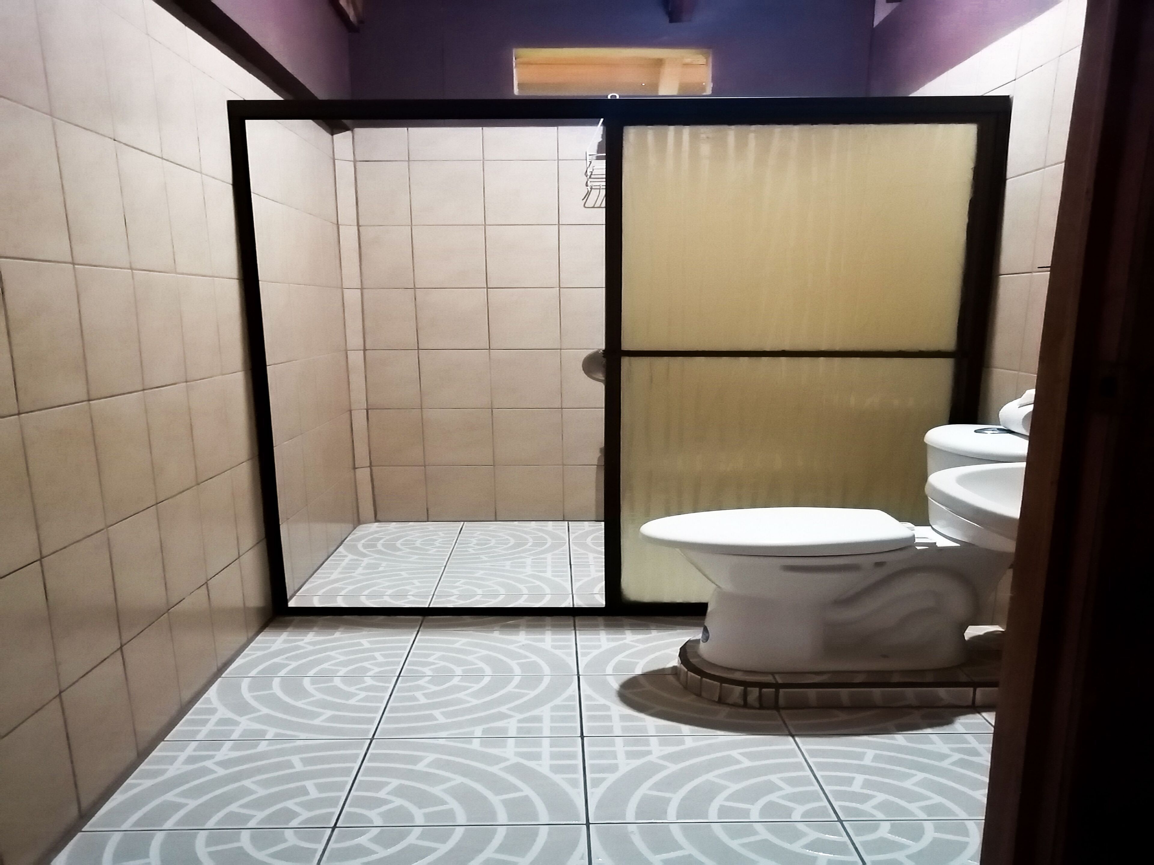 A bathroom with a toilet, a shower area, and patterned floor tiles.