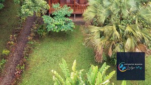 A lodge surrounded by dense greenery, with a prominent green roof and wooden exterior. - Cataratas Bijagua Lodge (Bijagua)