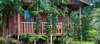 Cataratas Bijagua Lodge
