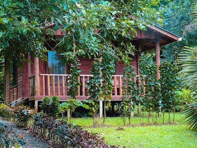 Cataratas Bijagua Lodge
