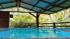 An indoor swimming pool with a view of lush greenery outside. - Cataratas Bijagua Lodge (Bijagua)