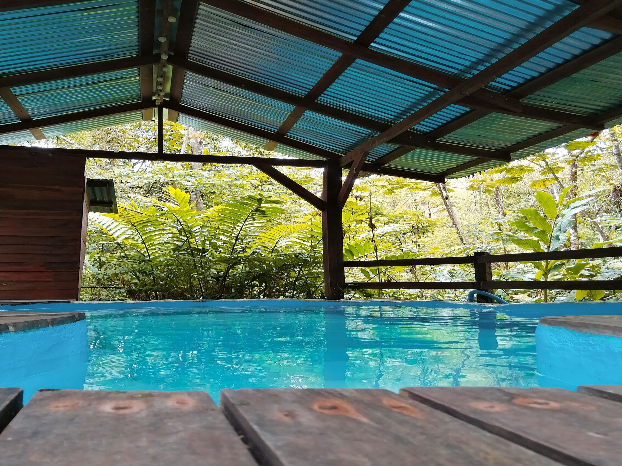 فنادق بتصنيف نجوم (2)