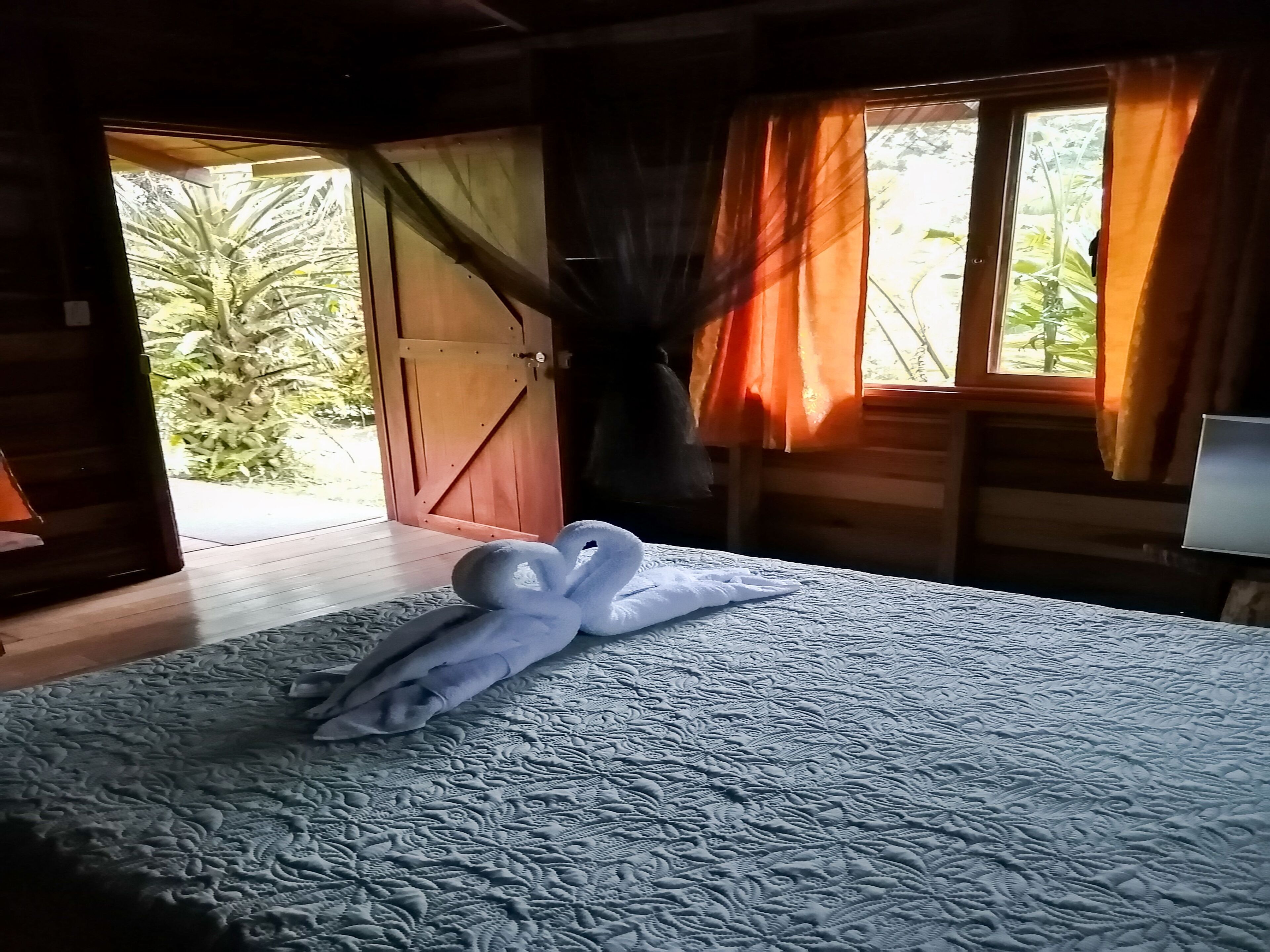 A room with a bed, a wooden door, and a window with curtains.