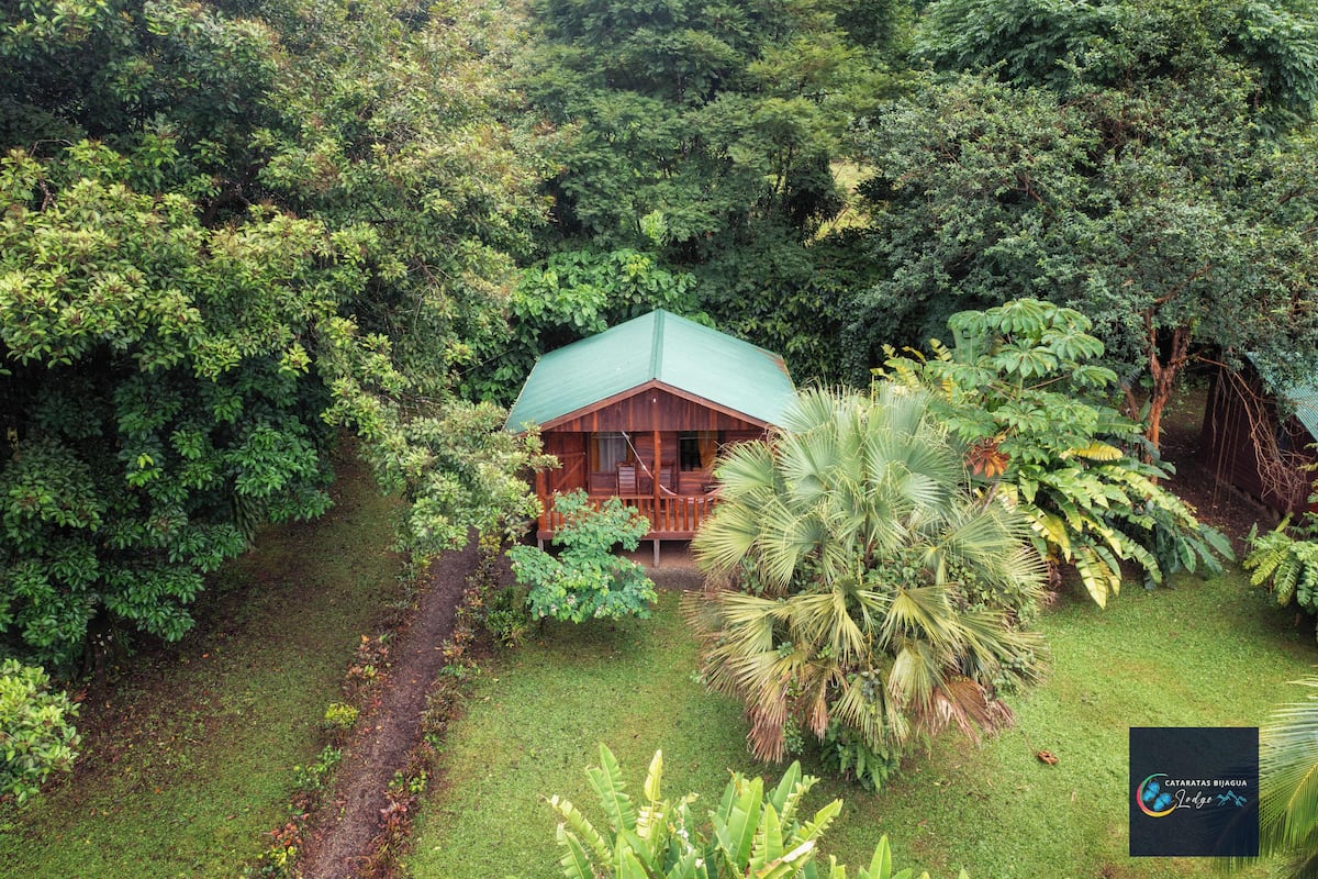 A wooden cabin with a green roof surrounded by lush greenery and a palm tree.
