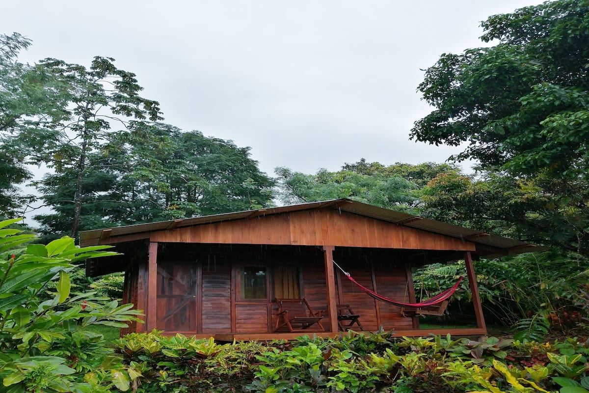 A wooden cabin with a porch, surrounded by lush greenery and a hammock.