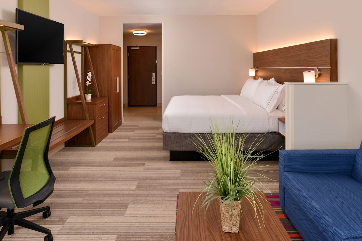A hotel room with a bed, a desk, a chair, a TV, and a plant.