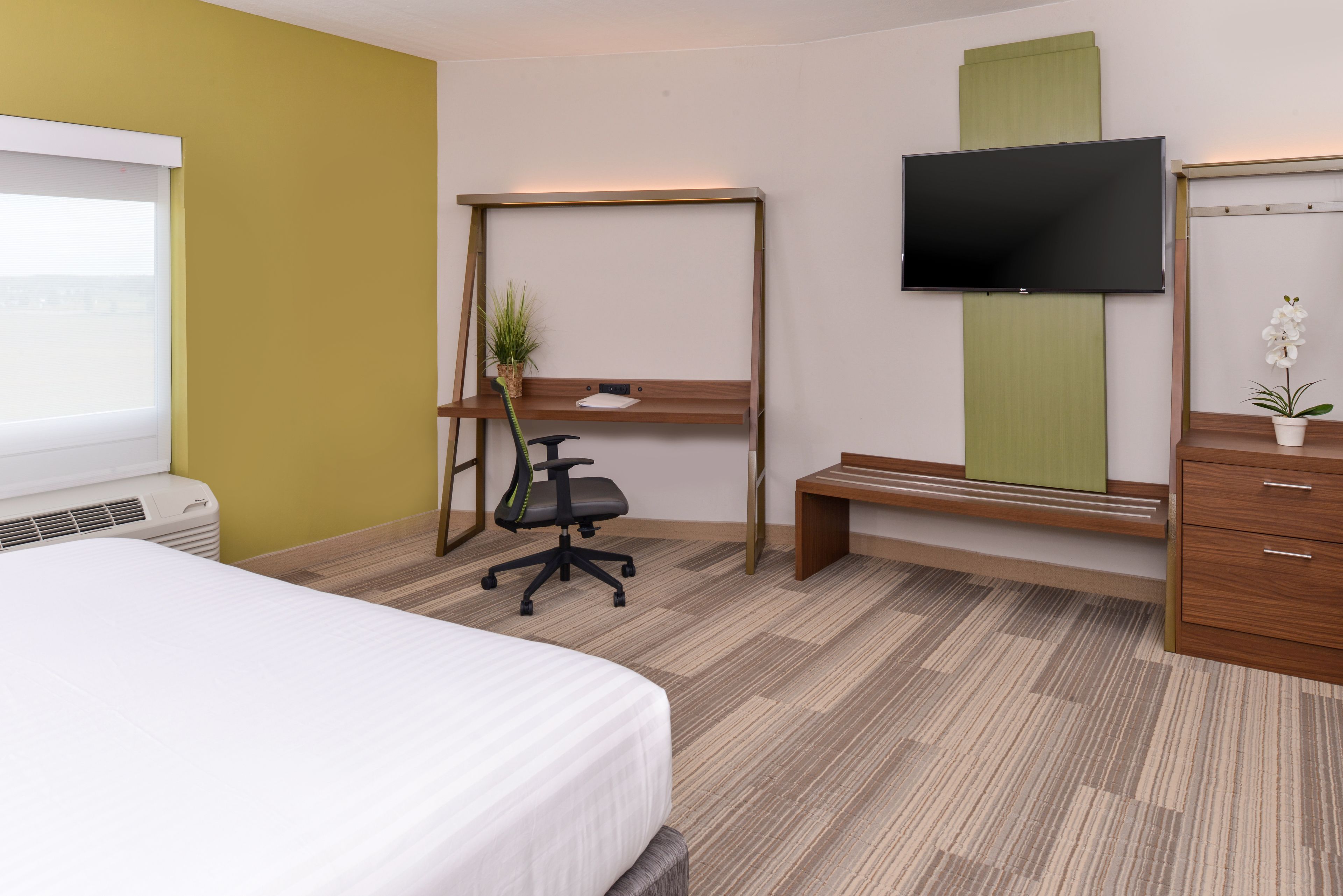 Habitació d'hotel amb un llit, una taula amb cadira, un televisor, una banca i una planta en test.