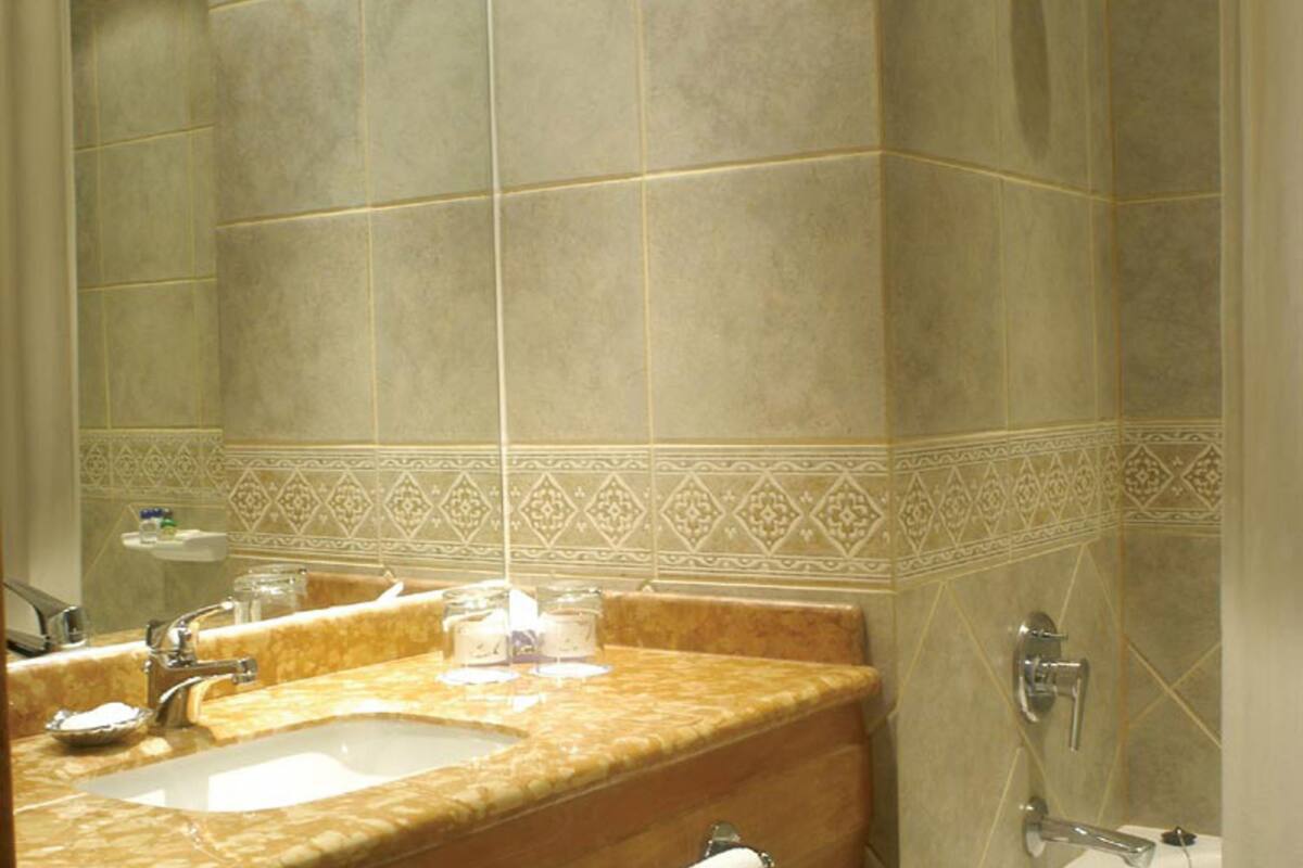 combined shower/bathtub, free toiletries, hair dryer, towels