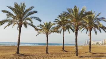 Playa en los alrededores, sombrillas y 3 bares en la playa