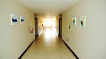 Vista desde la propiedad