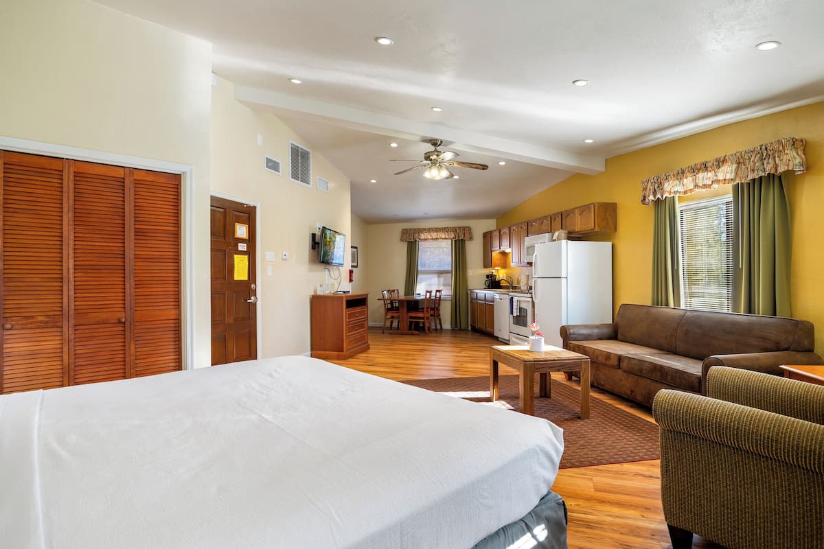 A spacious room with a bed, a sofa, a dining area, and a kitchen.