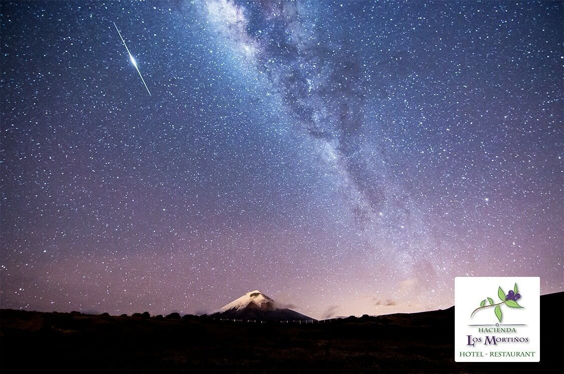 Servicio a la habitación