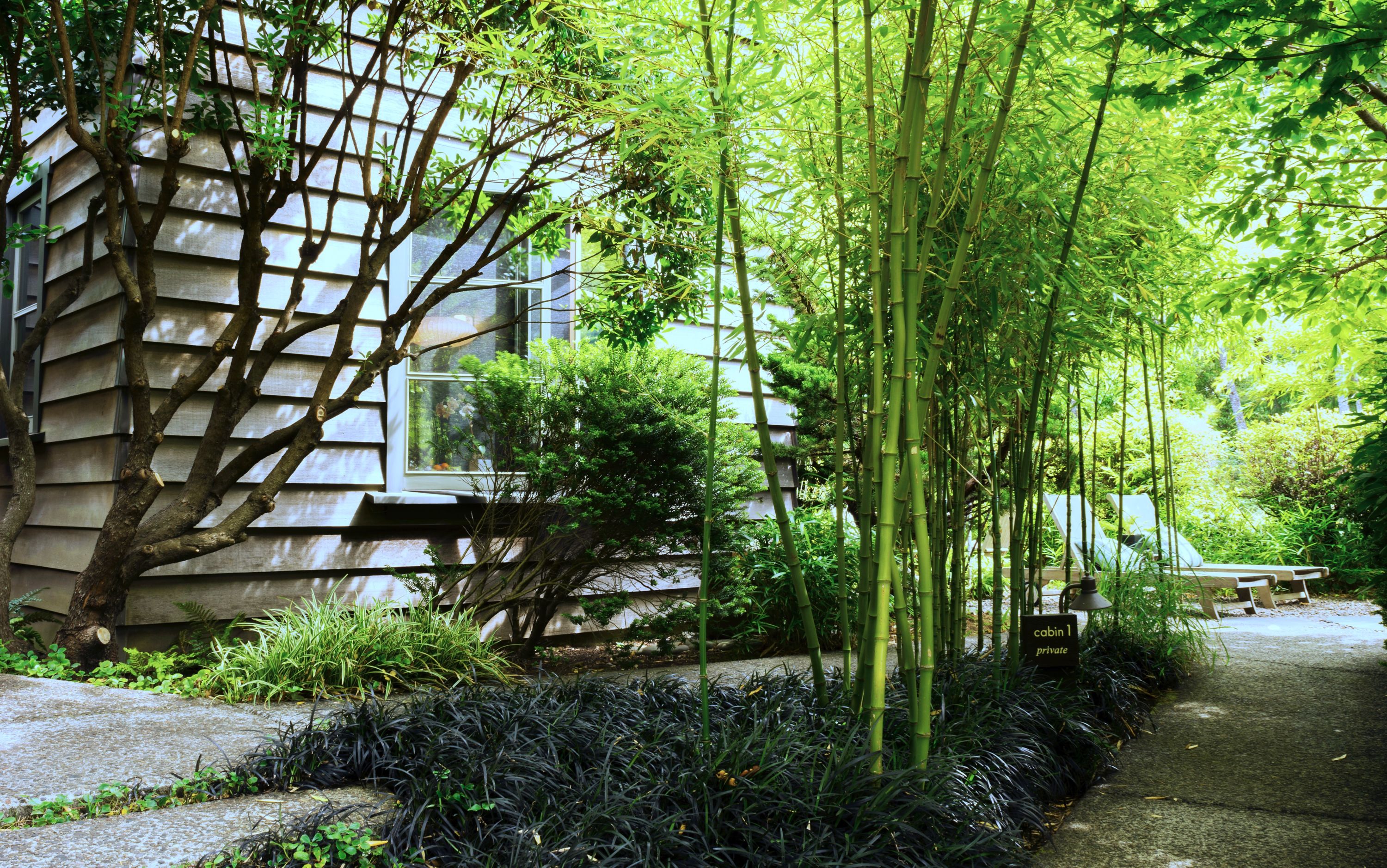 A pathway lined with bamboo and various plants leading to a building with a sloped roof and a window.