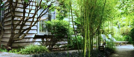A pathway lined with bamboo and various plants leading to a building with a sloped roof and a window.