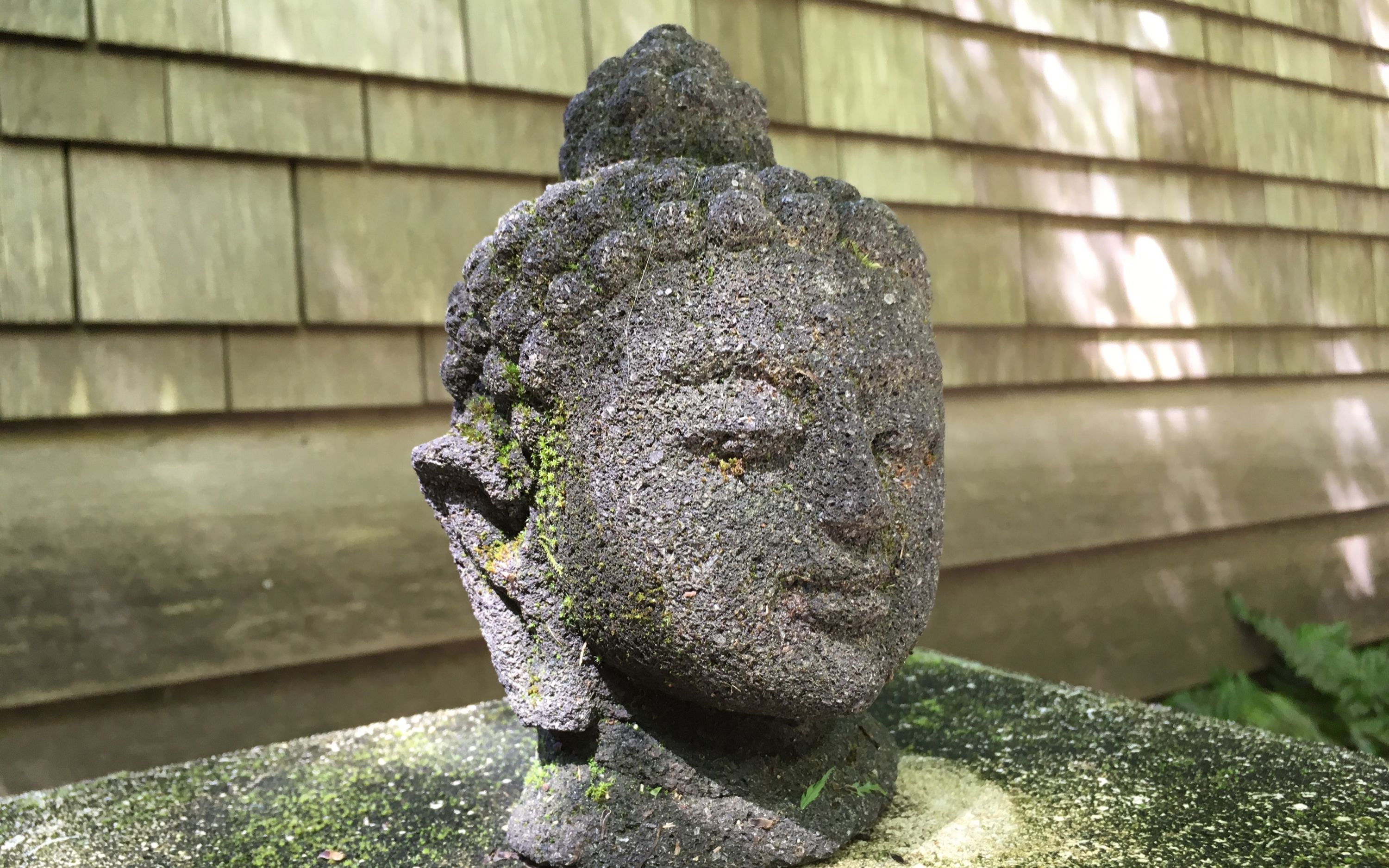 A stone Buddha statue with moss growth, set against a wooden background.