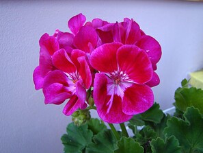 숙박 시설의 전망