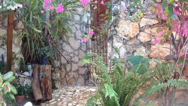 A stone wall with a rustic wooden bench and various potted plants. - Da Fabio (Negril)