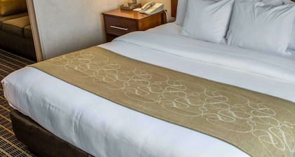 Comfort Suites Southwest