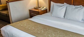 Comfort Suites Southwest