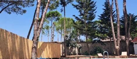 Una piscina al aire libre