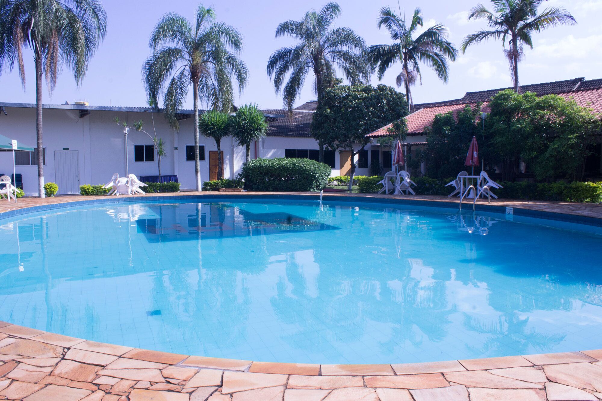 Una piscina rodeada de palmeras y sillas de descanso.