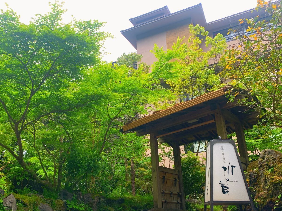 Foto - Mizunoto Reopening on April 1, 2025